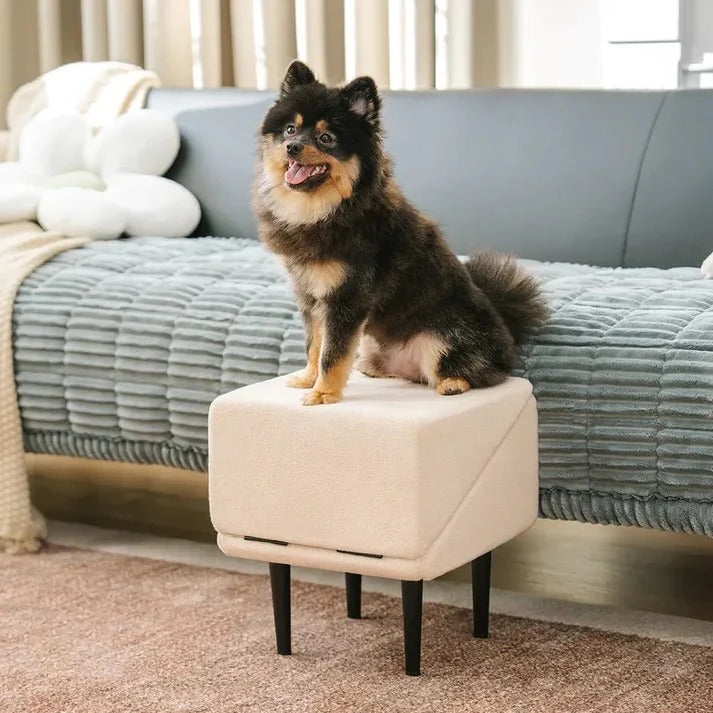 Adjustable 2 in 1 Pet Ramp and Step Stool
