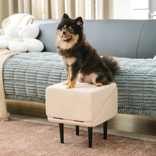 Adjustable 2 in 1 Pet Ramp and Step Stool