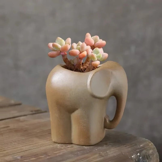 Animal Shaped Ceramic Succulent Planter for Desktop Pots