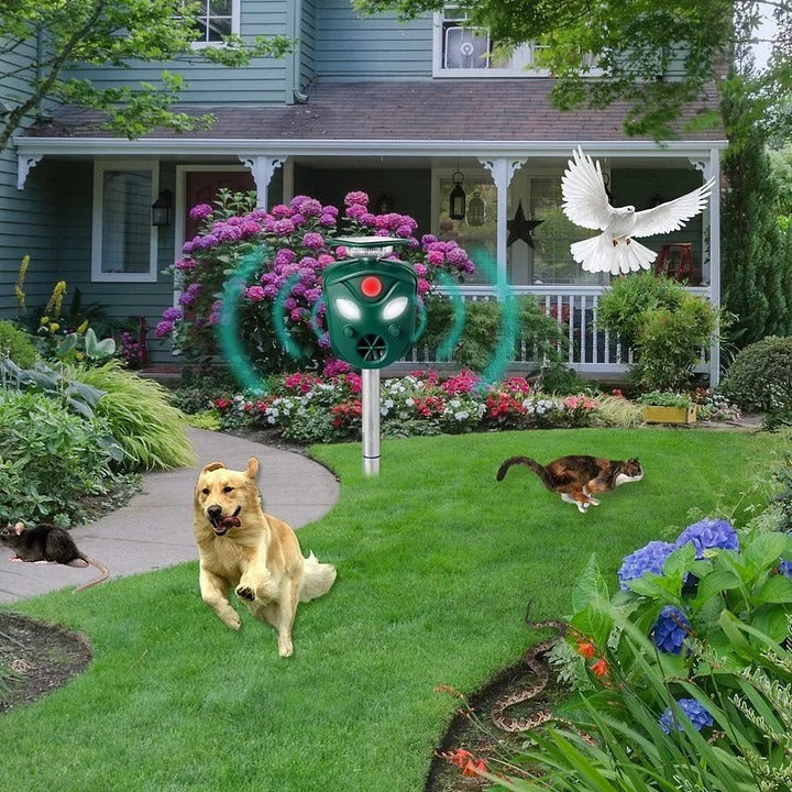 Solar Ultrasonic Animal Repeller with 360 Degree Coverage