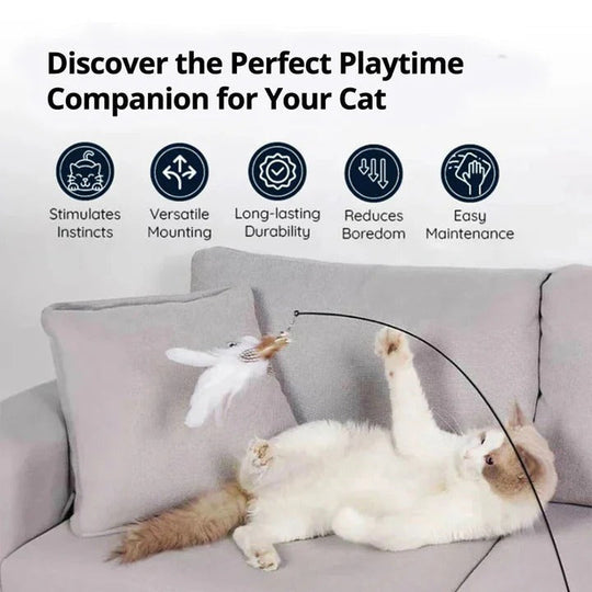 Plush Bird Cat Toy Set for Interactive Play