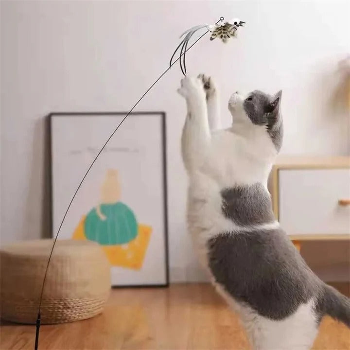 Plush Bird Cat Toy Set for Interactive Play