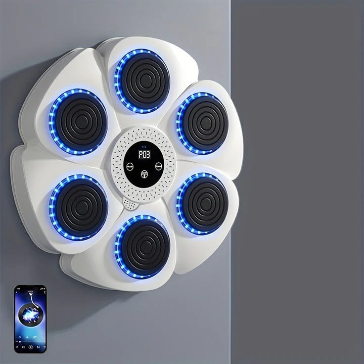 Wall Mounted USB Rechargeable Music Boxing Target