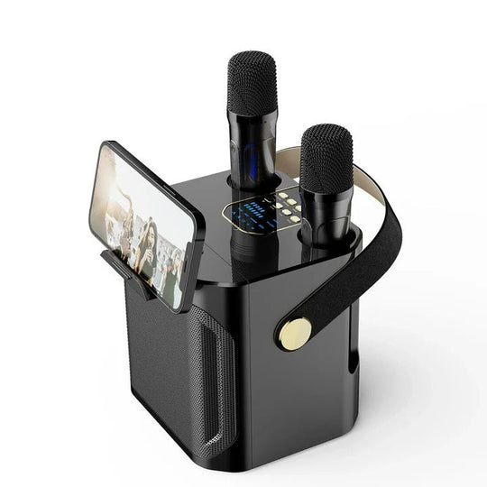 Portable Bluetooth Karaoke Speaker with 360 Degree Sound