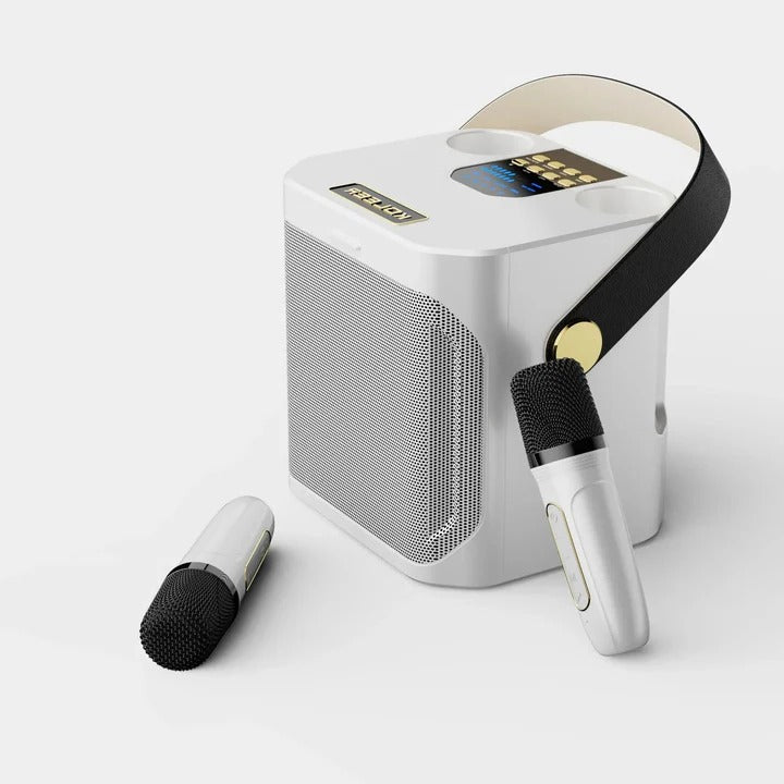 Portable Bluetooth Karaoke Speaker with 360 Degree Sound