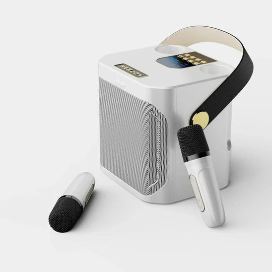 Portable Bluetooth Karaoke Speaker with 360 Degree Sound