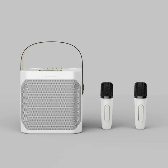 Portable Bluetooth Karaoke Speaker with 360 Degree Sound