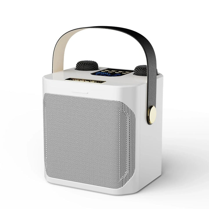 Portable Bluetooth Karaoke Speaker with 360 Degree Sound