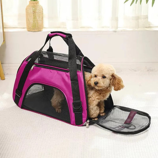 Breathable Mesh Pet Carrier Bag for Small Dogs and Cats