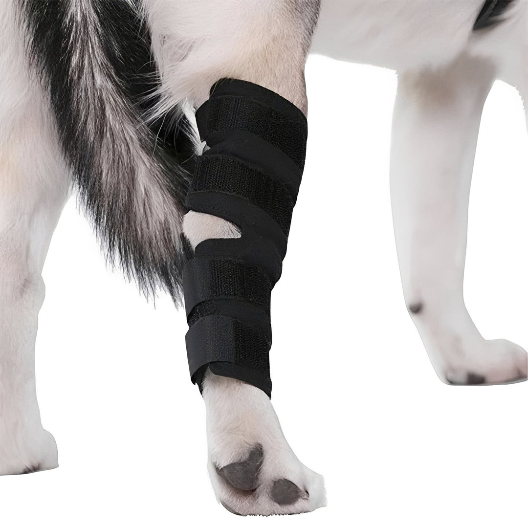 Dog Leg Support Brace with Adjustable Straps