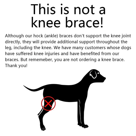 Dog Leg Support Brace with Adjustable Straps