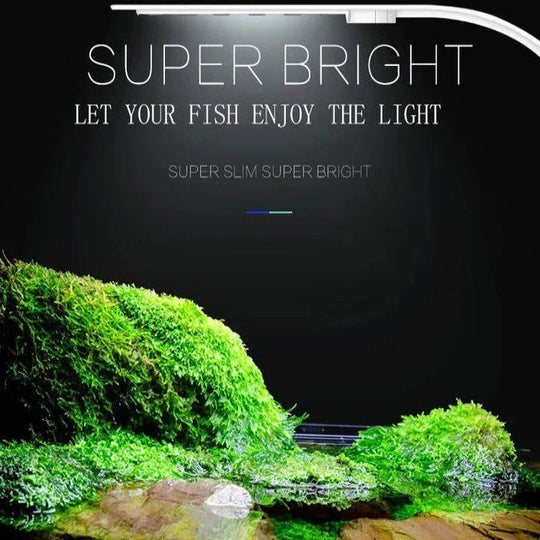 Slim LED Aquarium Light for Fish Tanks and Plants