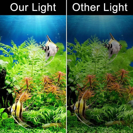 Slim LED Aquarium Light for Fish Tanks and Plants