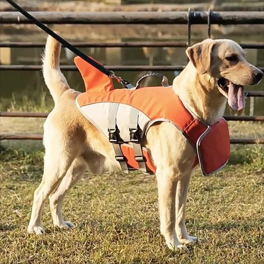 Floating Life Jacket for Dogs with Buoyancy Support