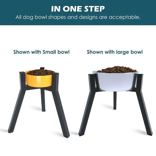 Raised Dog Bowl Stand with Elevated Design