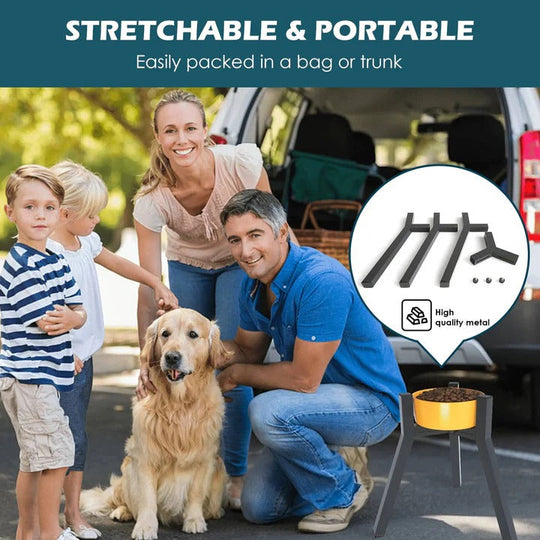 Raised Dog Bowl Stand with Elevated Design