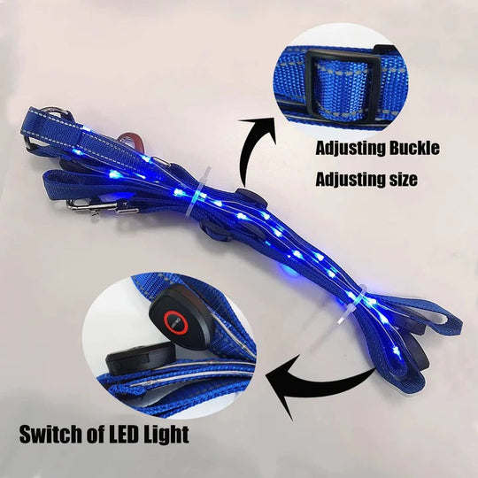 LED Light Up Breast Collar for Horses