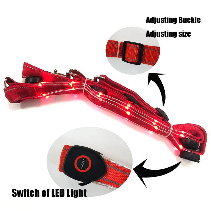 LED Light Up Breast Collar for Horses