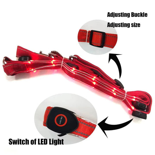 LED Light Up Breast Collar for Horses