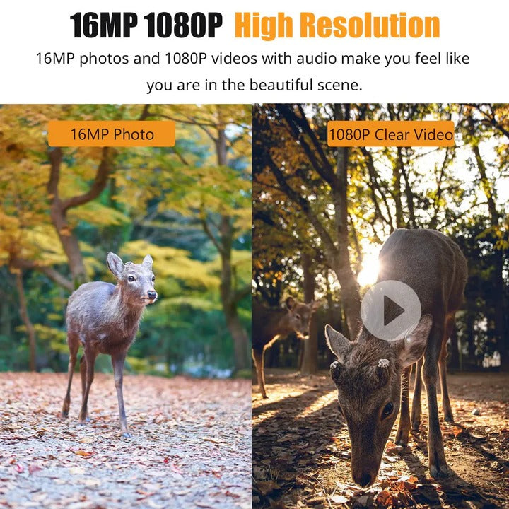 1080P Trail Camera with Night Vision Recording