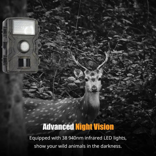 1080P Trail Camera with Night Vision Recording