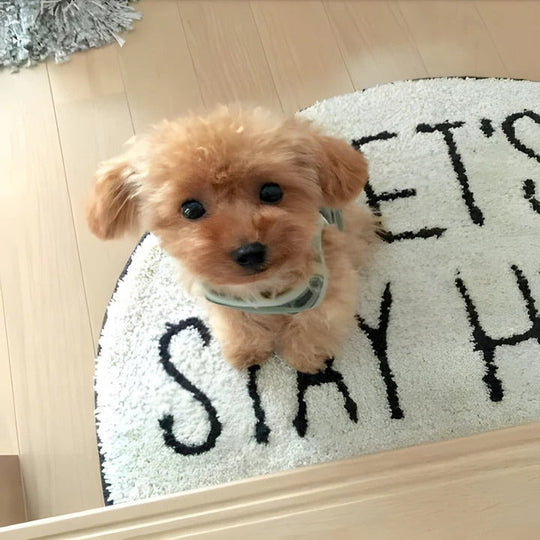 Realistic Plush Puppy Toy with Soft Fur Texture