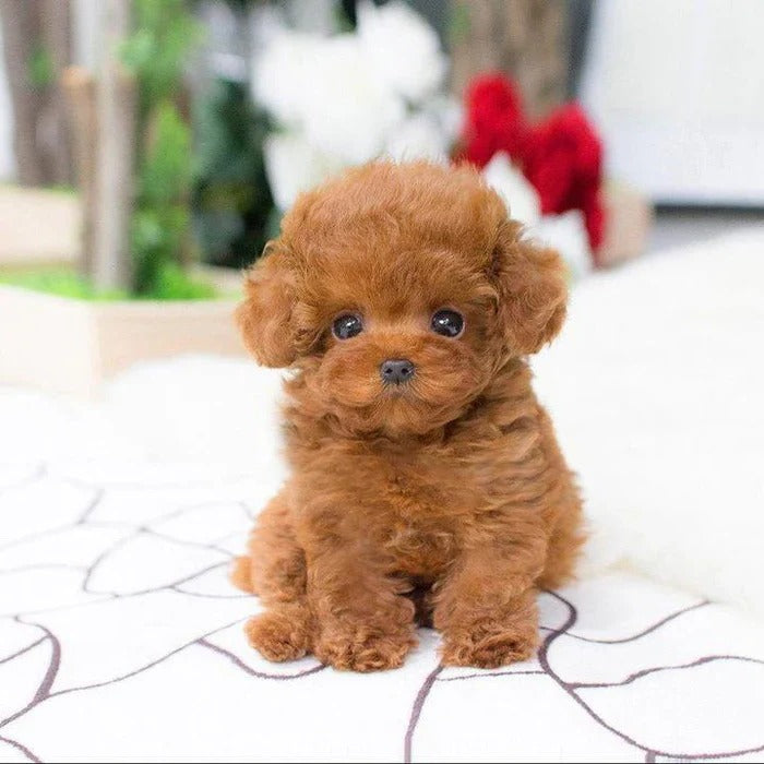Realistic Plush Puppy Toy with Soft Fur Texture