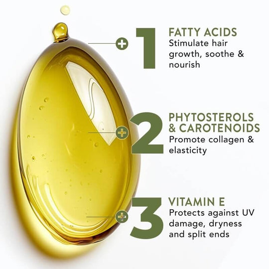 Batana Hair Oil with Rosemary and Vitamin E for Moisture Support
