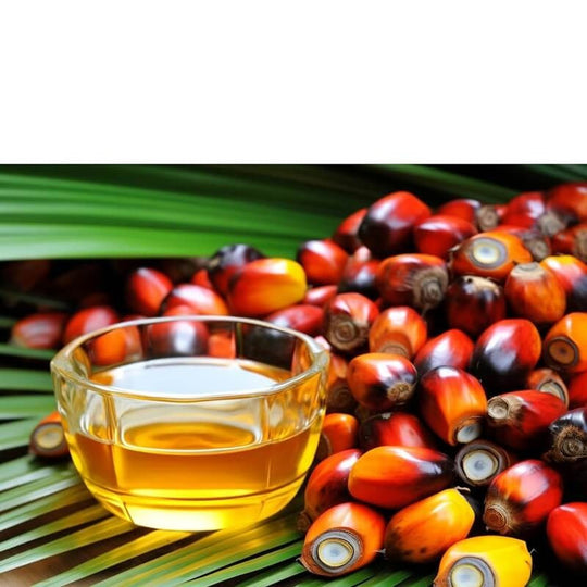 Batana Hair Oil with Rosemary and Vitamin E for Moisture Support