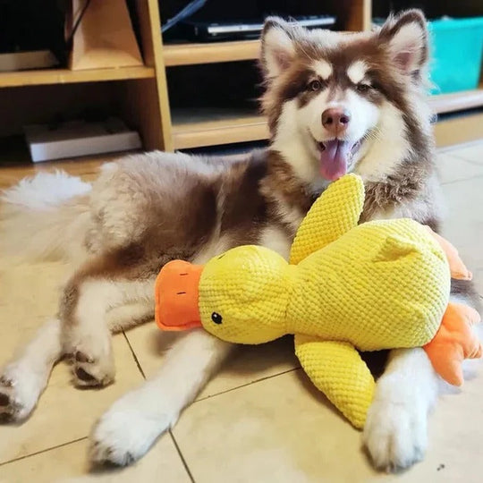 Duck Shaped Squeaky Dog Toy with Reinforced Stitching