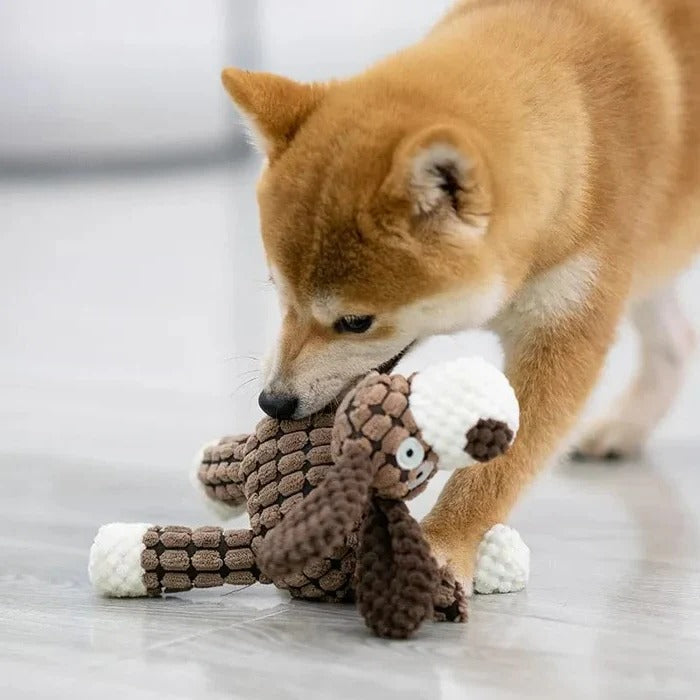 Reinforced Squeaky Plush Dog Toy with Durable Stitching