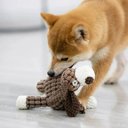 Reinforced Squeaky Plush Dog Toy with Durable Stitching