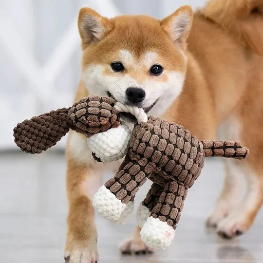 Reinforced Squeaky Plush Dog Toy with Durable Stitching