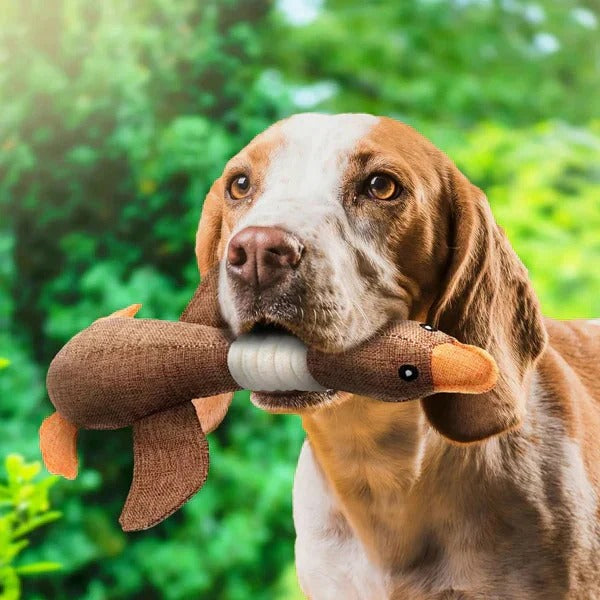 Reinforced Goose Plush Dog Toy with Textured Fabric