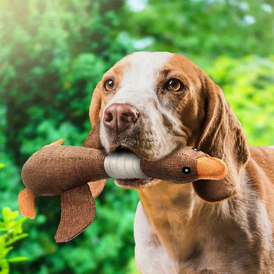 Reinforced Goose Plush Dog Toy with Textured Fabric