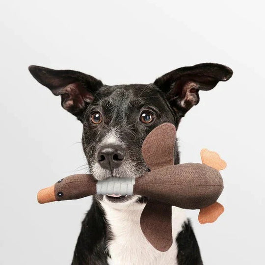 Reinforced Goose Plush Dog Toy with Textured Fabric