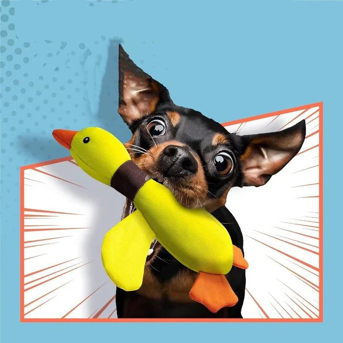 Reinforced Goose Plush Dog Toy with Textured Fabric