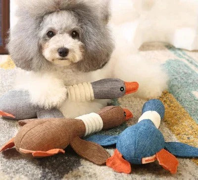 Reinforced Goose Plush Dog Toy with Textured Fabric