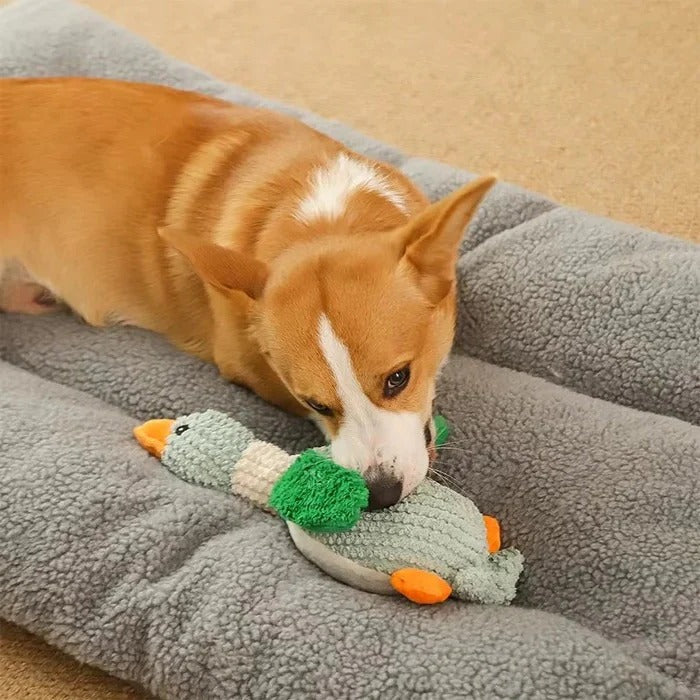 Reinforced Goose Plush Dog Toy with Textured Fabric