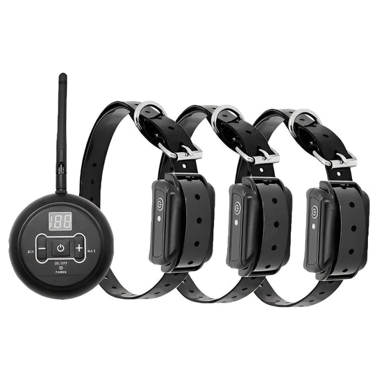 Wireless Dog Boundary System with Remote Training Control