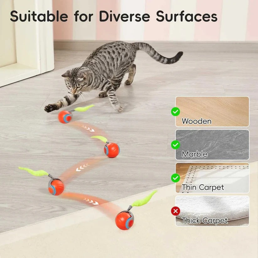 Cat Toys with Tail Design for Indoor Play, 2 Pack Set