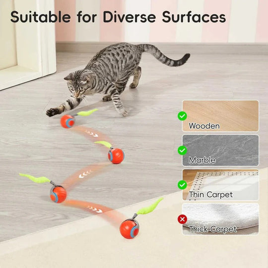 Cat Toys with Tail Design for Indoor Play, 2 Pack Set