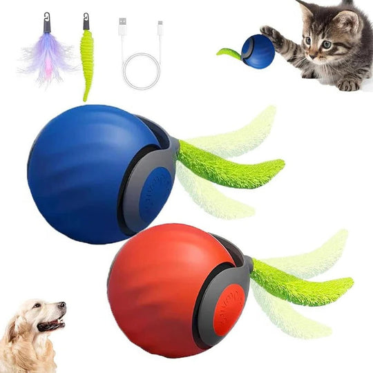 Cat Toys with Tail Design for Indoor Play, 2 Pack Set