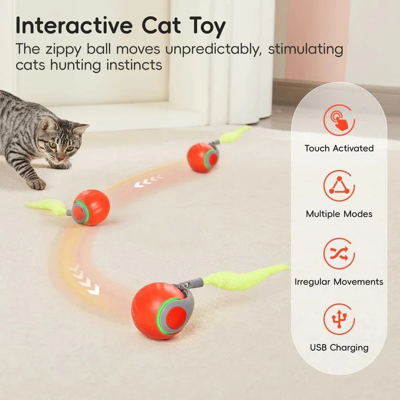 Cat Toys with Tail Design for Indoor Play, 2 Pack Set