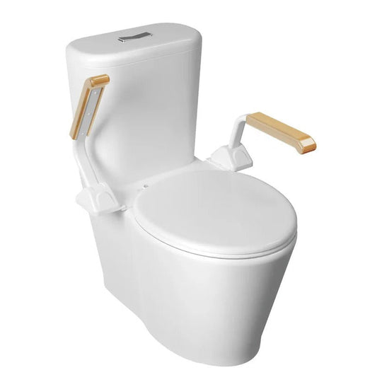 Adjustable Toilet Safety Rail with Dual Armrests for Elderly Support