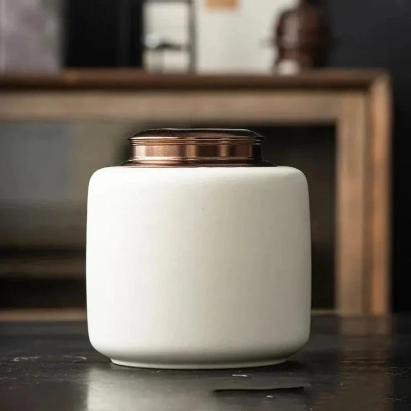 Ceramic Pet Urn with Secure Lid for Memorial Keepsake