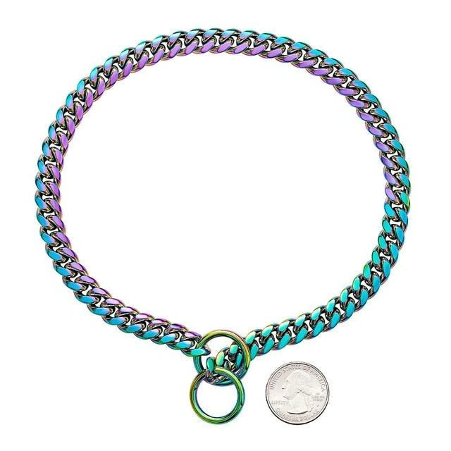 Stainless Steel Dog Training Collar with Adjustable Chain Fit