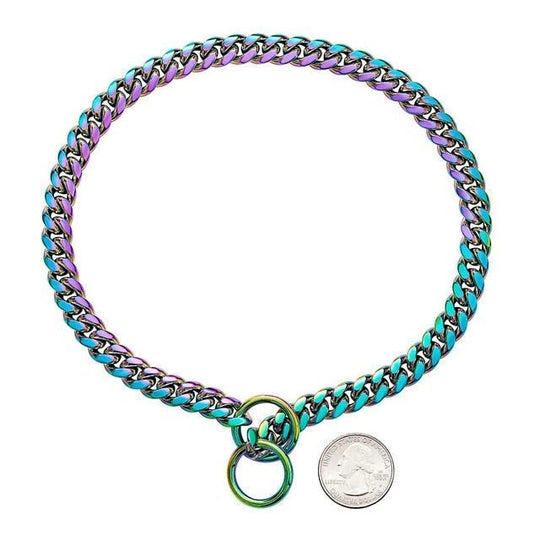 Stainless Steel Dog Training Collar with Adjustable Chain Fit