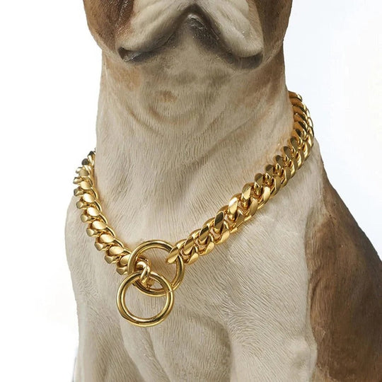 Stainless Steel Dog Training Collar with Adjustable Chain Fit