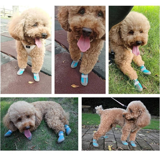 Waterproof Breathable Dog Paw Boots with Non-Slip Sole for Outdoor Use, 4 Pack